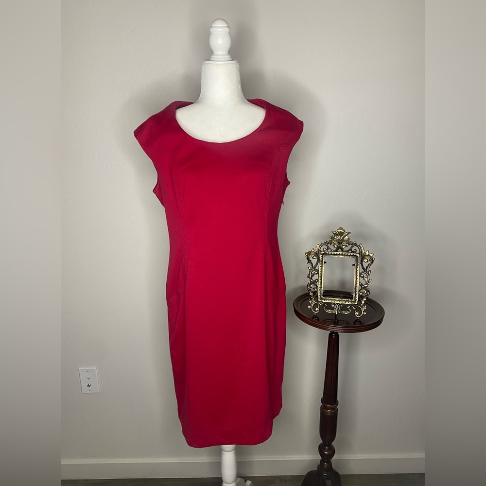 Hot pink Banana Republic dress